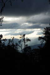 DSC00437a